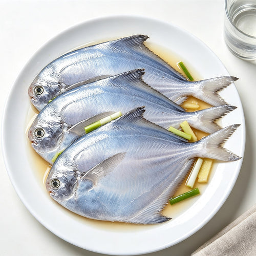 Fresh Whole Silver Pomfret Fish