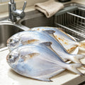 Fresh Whole Silver Pomfret Fish